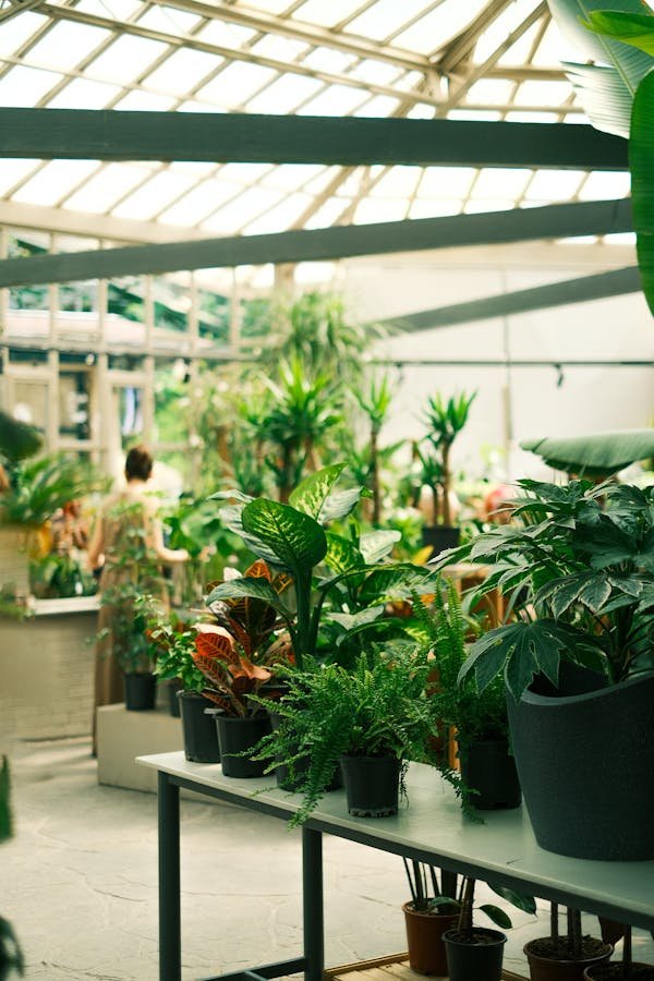 Astuces pratiques pour un jardinage urbain réussi